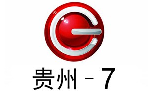 贵州7套经济频道