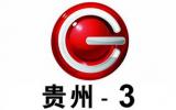 贵州3频道影视文艺频道
